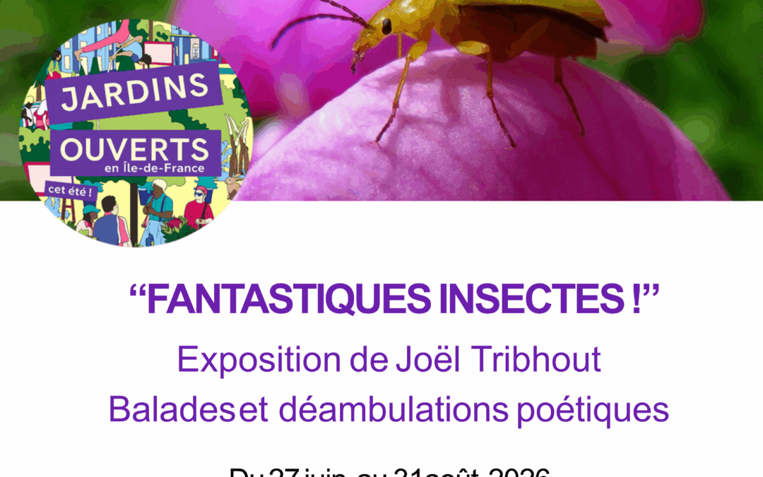Fantastiques insectes